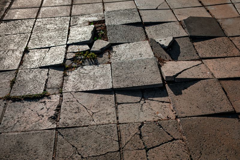 Paver Walkway Repair