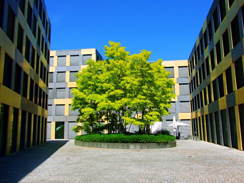 Courtyard Beautification Service